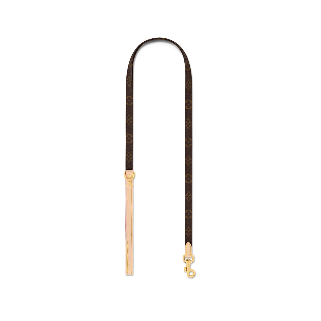 Dog Leash PM - Trunks, Travel and Home - Pets Accessories